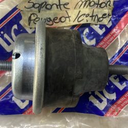 Protegido: PEUGEOT/CITROEN-SOPORTE DE MOTOR